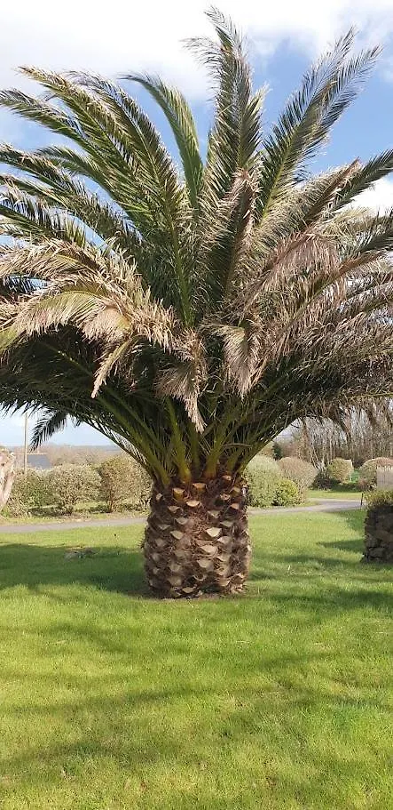 Le Petit Coin De Paradis Roscanvel Holiday home