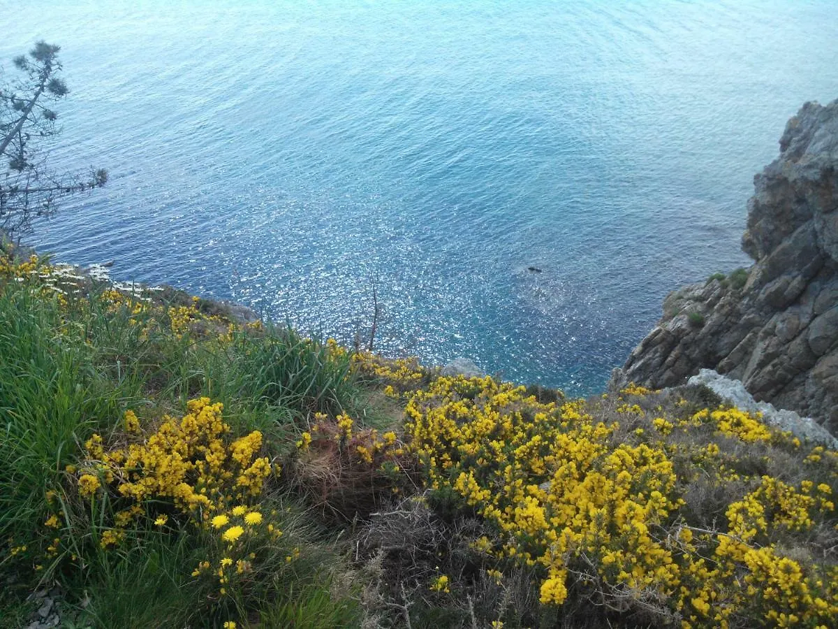 Le Petit Coin De Paradis Roscanvel